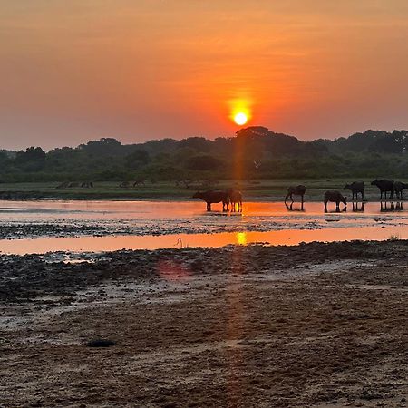Kingfisher Beach Resort-Yala Kirinda  Exterior foto